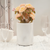 Ash White Marble Vase